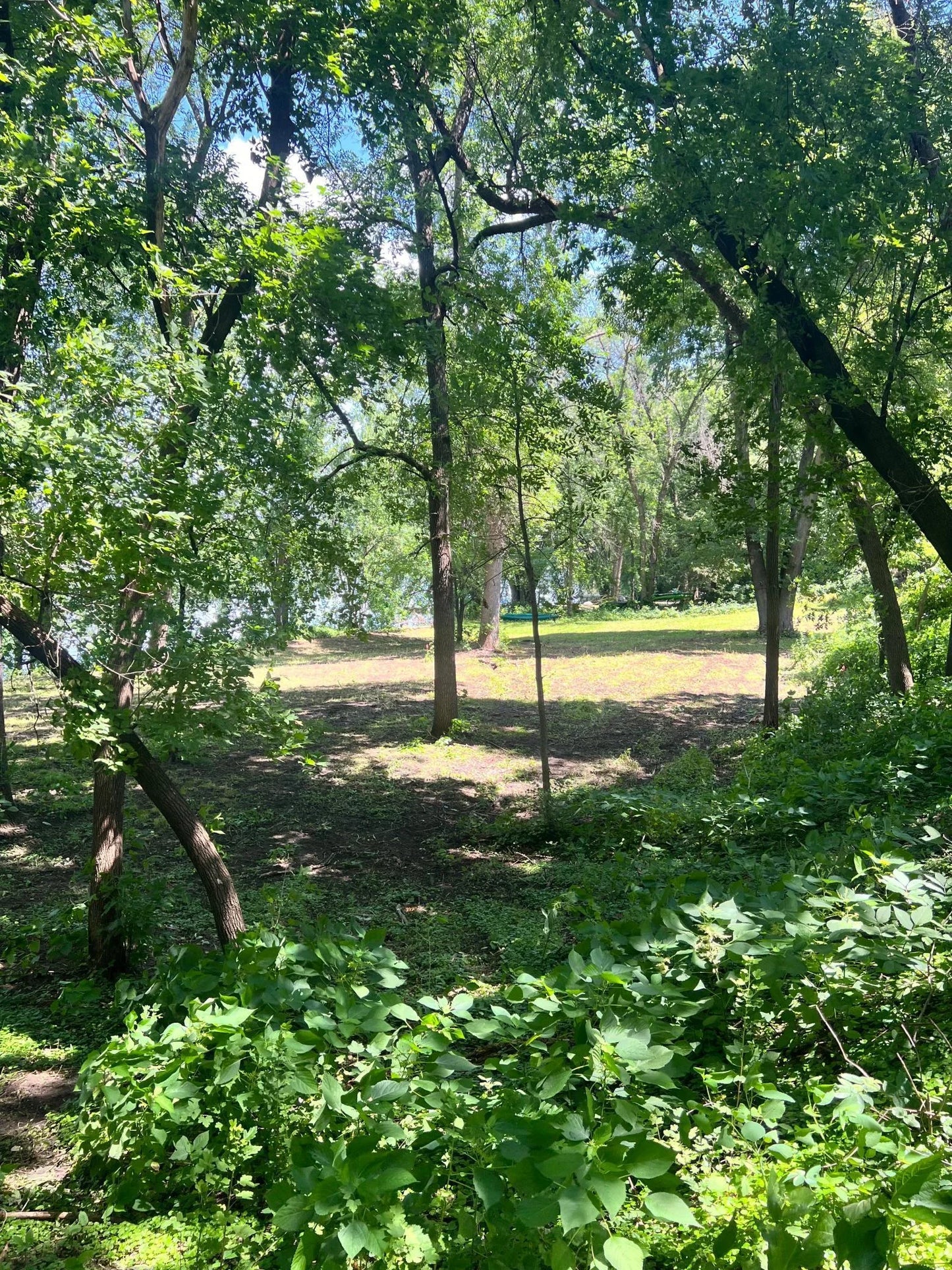 12620 Overlook Road, Dayton, MN 55327