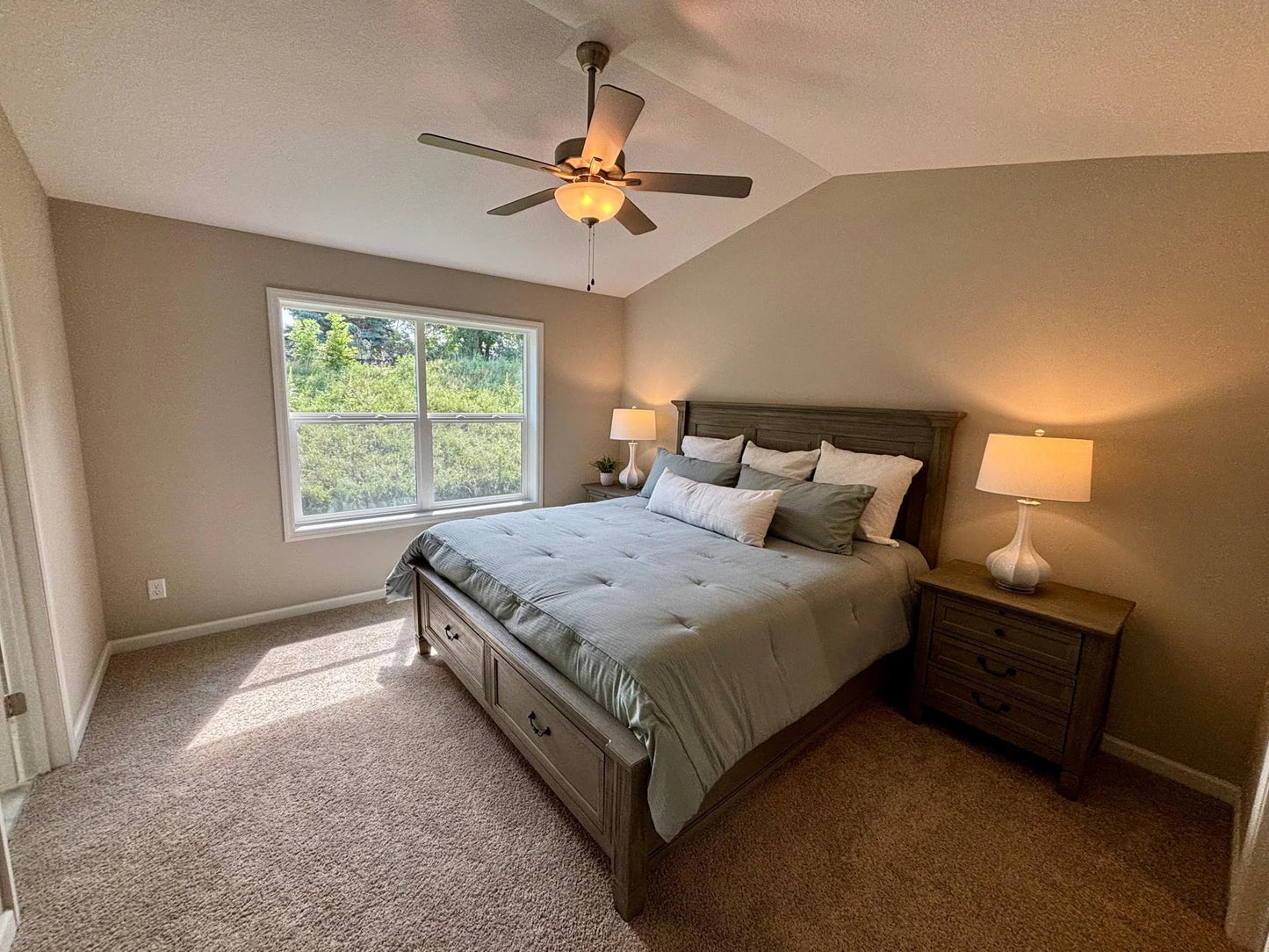 493 Mallard Street, Hanover, MN 55341