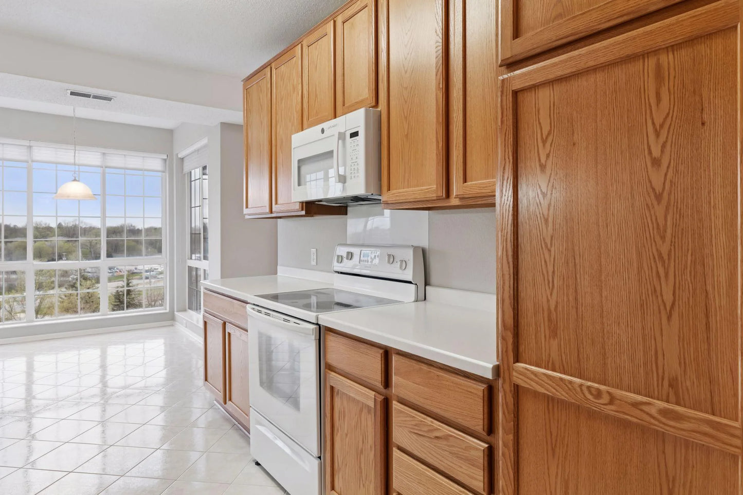 100 Clydesdale Trail, Medina, MN 55340
