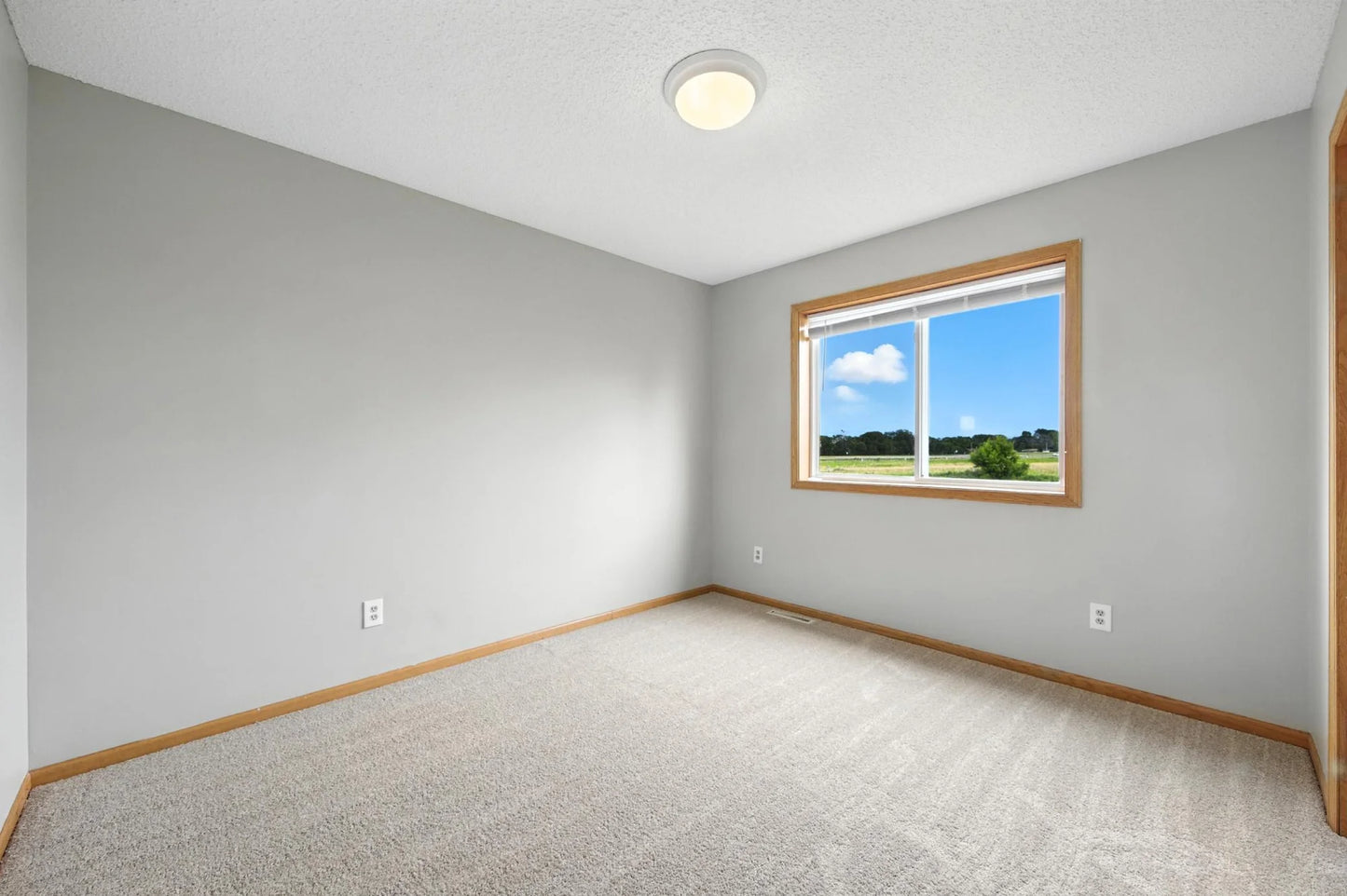 4360 Blakewood Drive, Shakopee, MN 55379