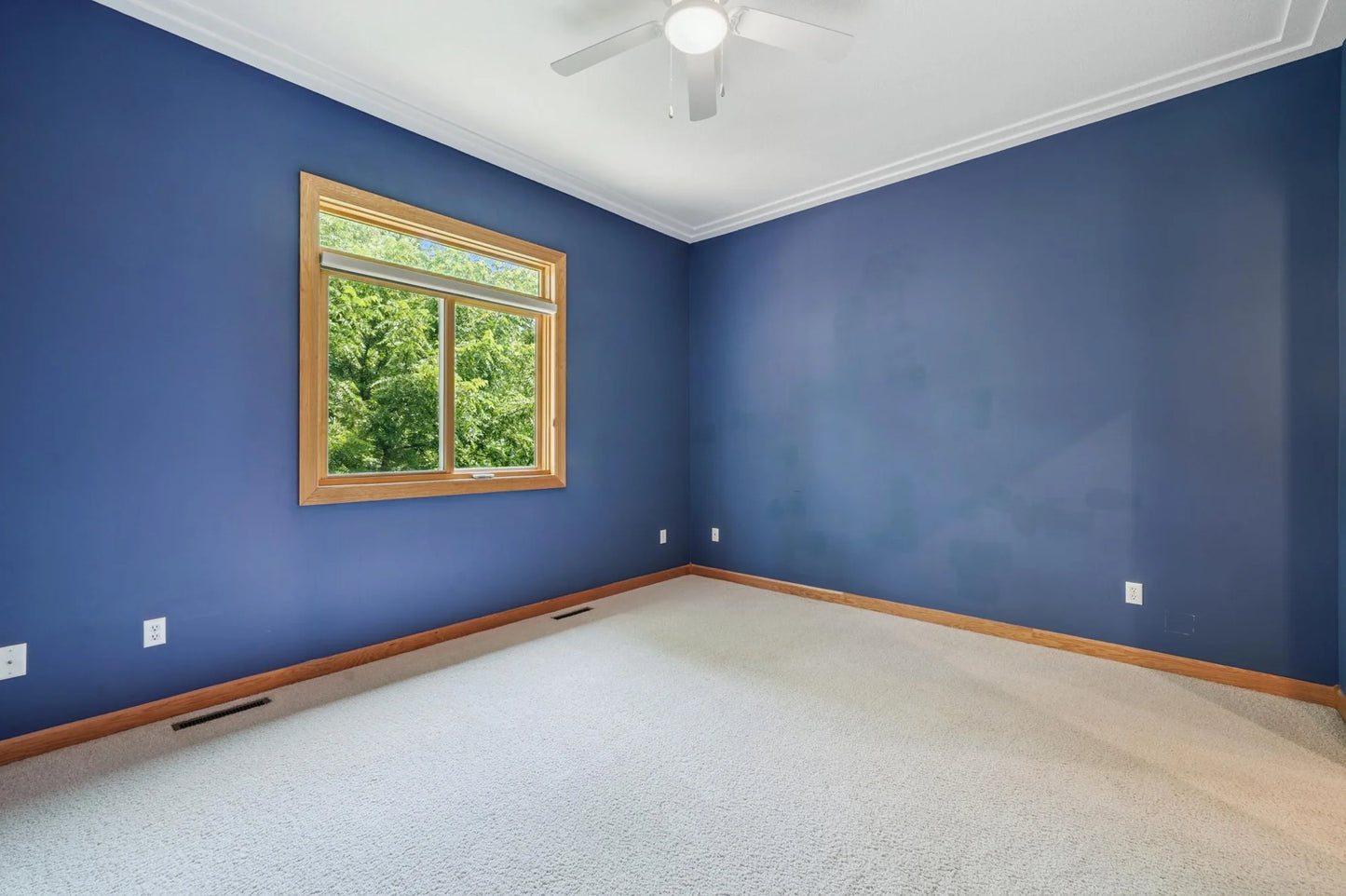 4354 Priorwood Street, Prior Lake, MN 55372