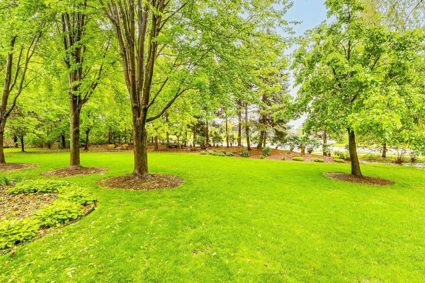 10447 Kilbirnie Road, Woodbury, MN 55129