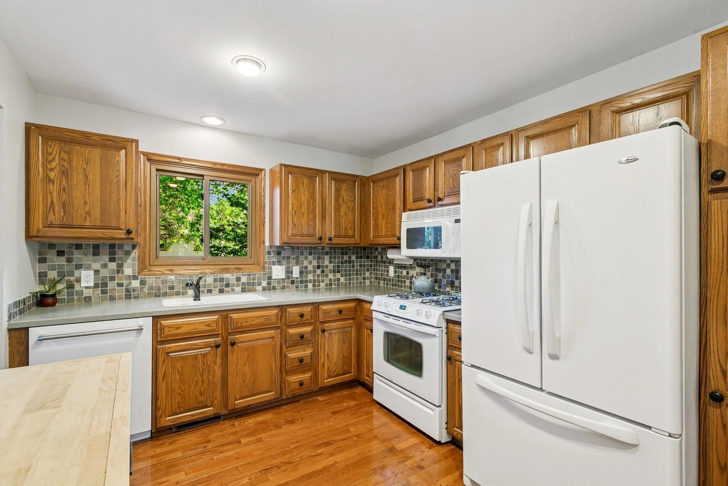 4801 142 1/2 Street, Savage, MN 55378