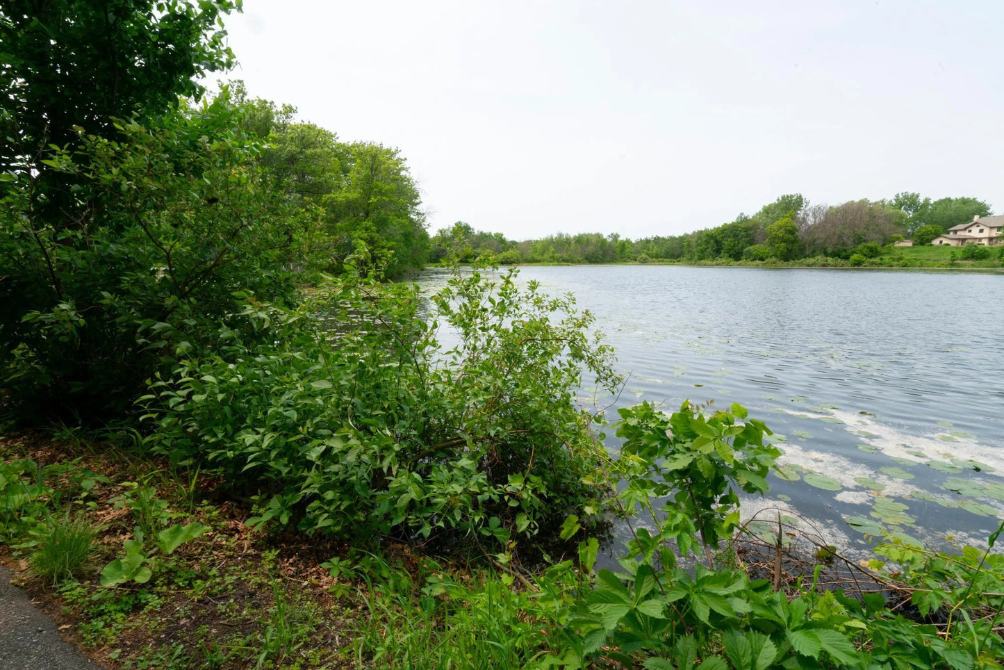 5425 Orleans Lane, Plymouth, MN 55442
