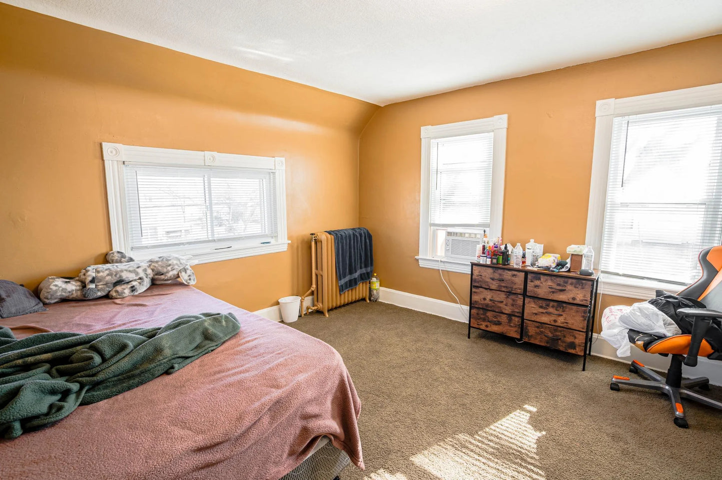 597 Virginia Street, Saint Paul, MN 55103