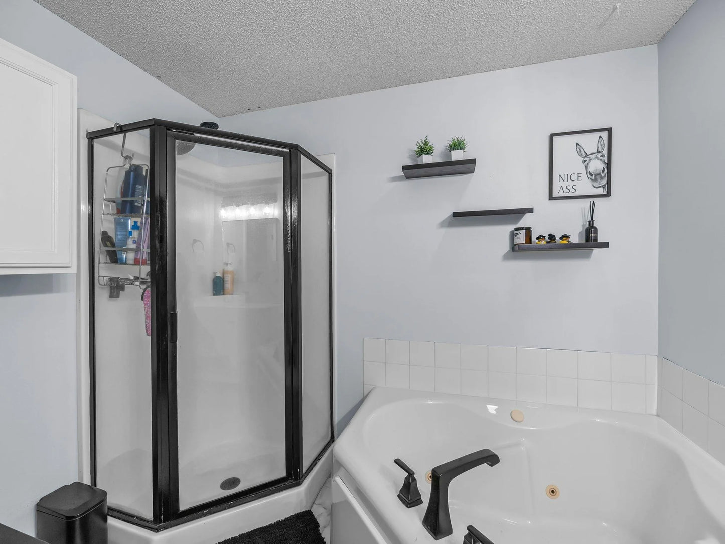 597 Mission Hills Way, Chanhassen, MN 55317