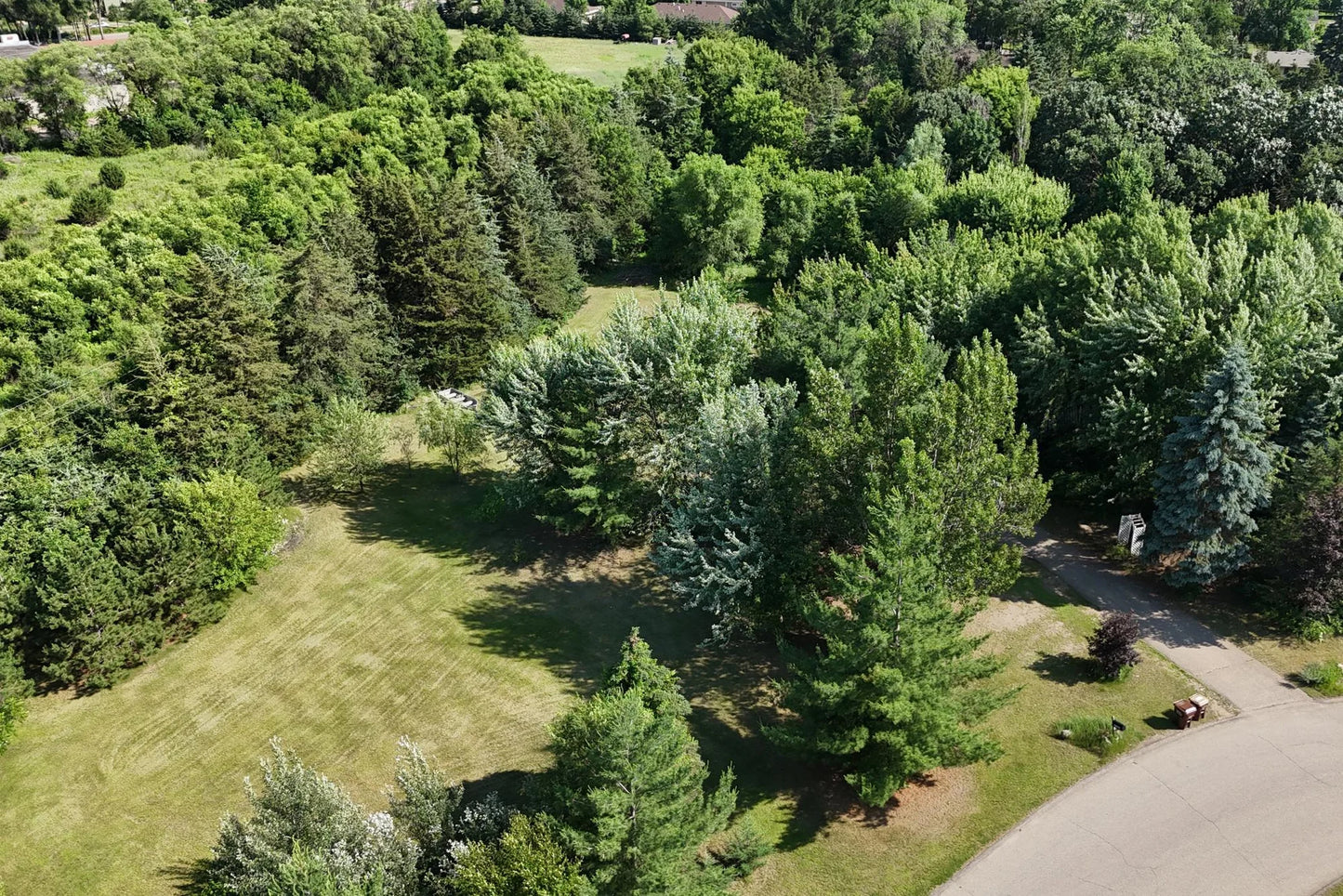 11581 Noon Drive, Dayton, MN 55327