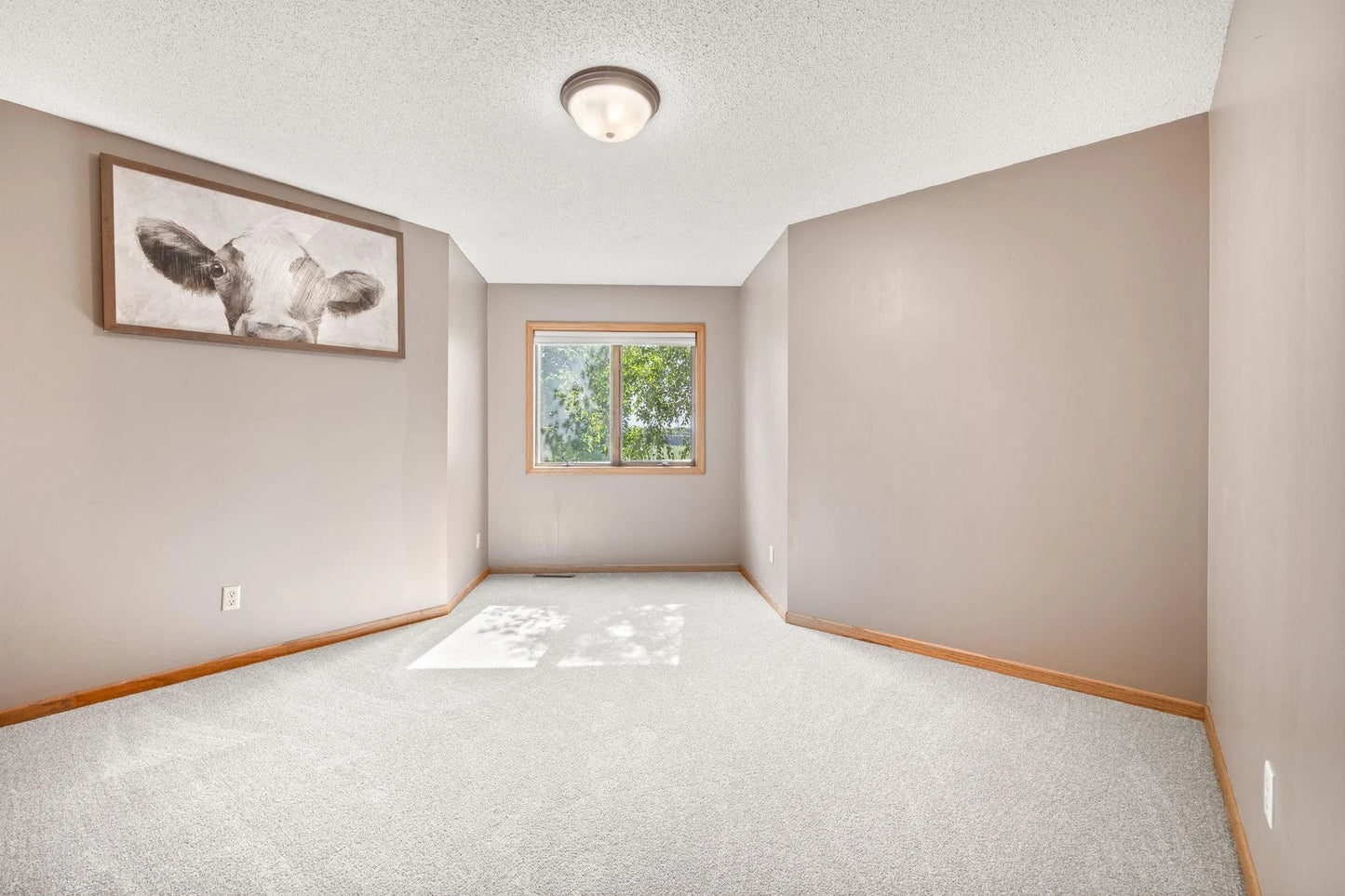 1630 Oxford Avenue, Delano, MN 55328