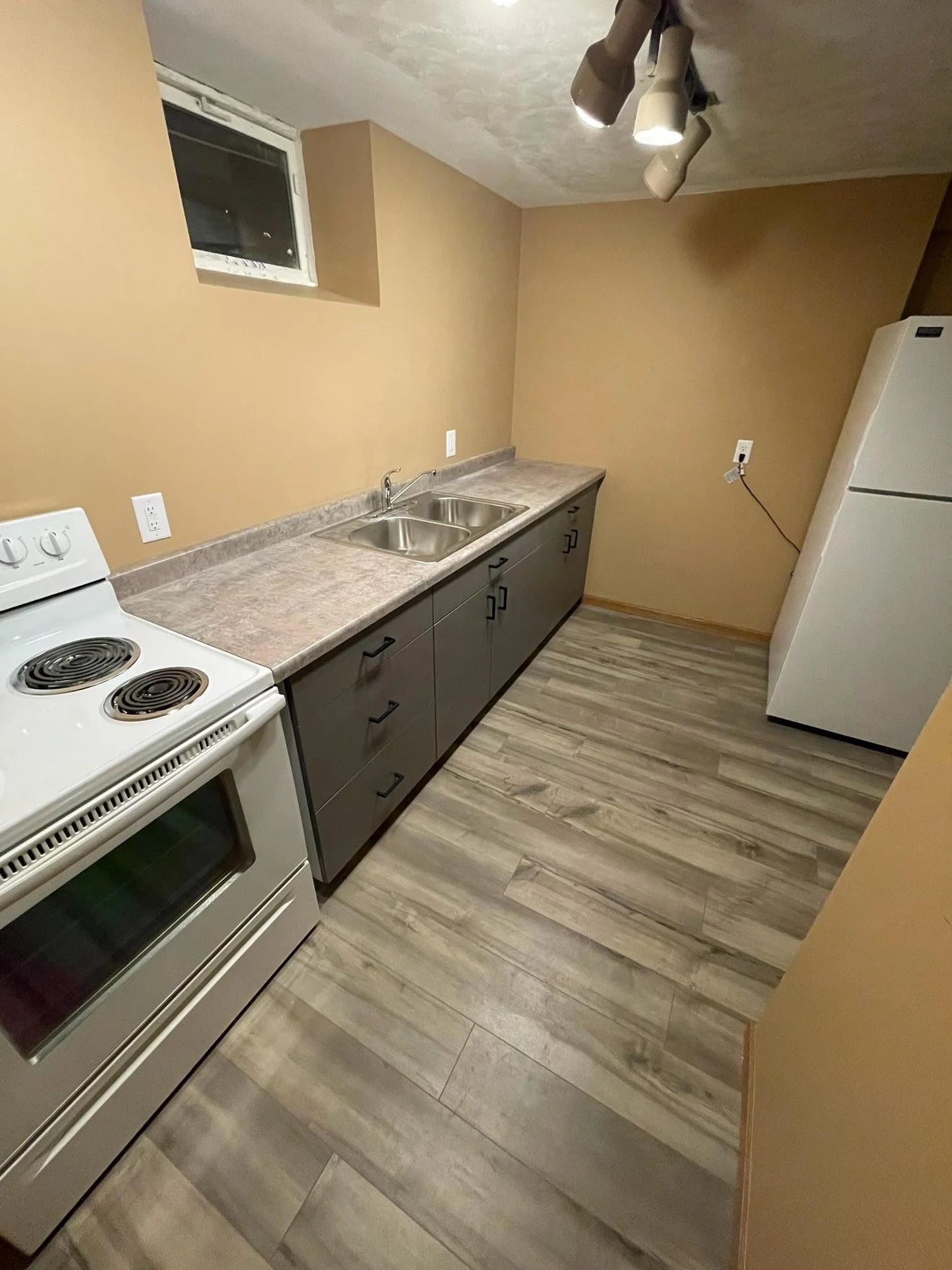 1212 Sibley Street, Hastings, MN 55033