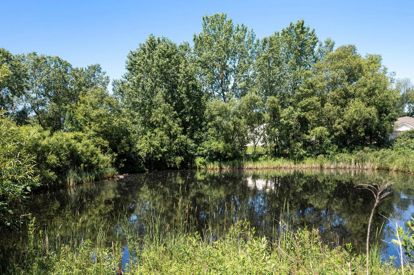 17198 93rd Place, Maple Grove, MN 55311