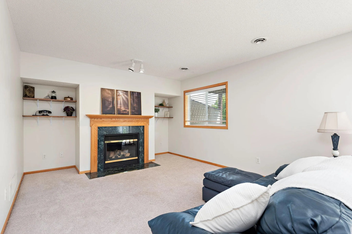 3799 Larabee Avenue, Saint Michael, MN 55376