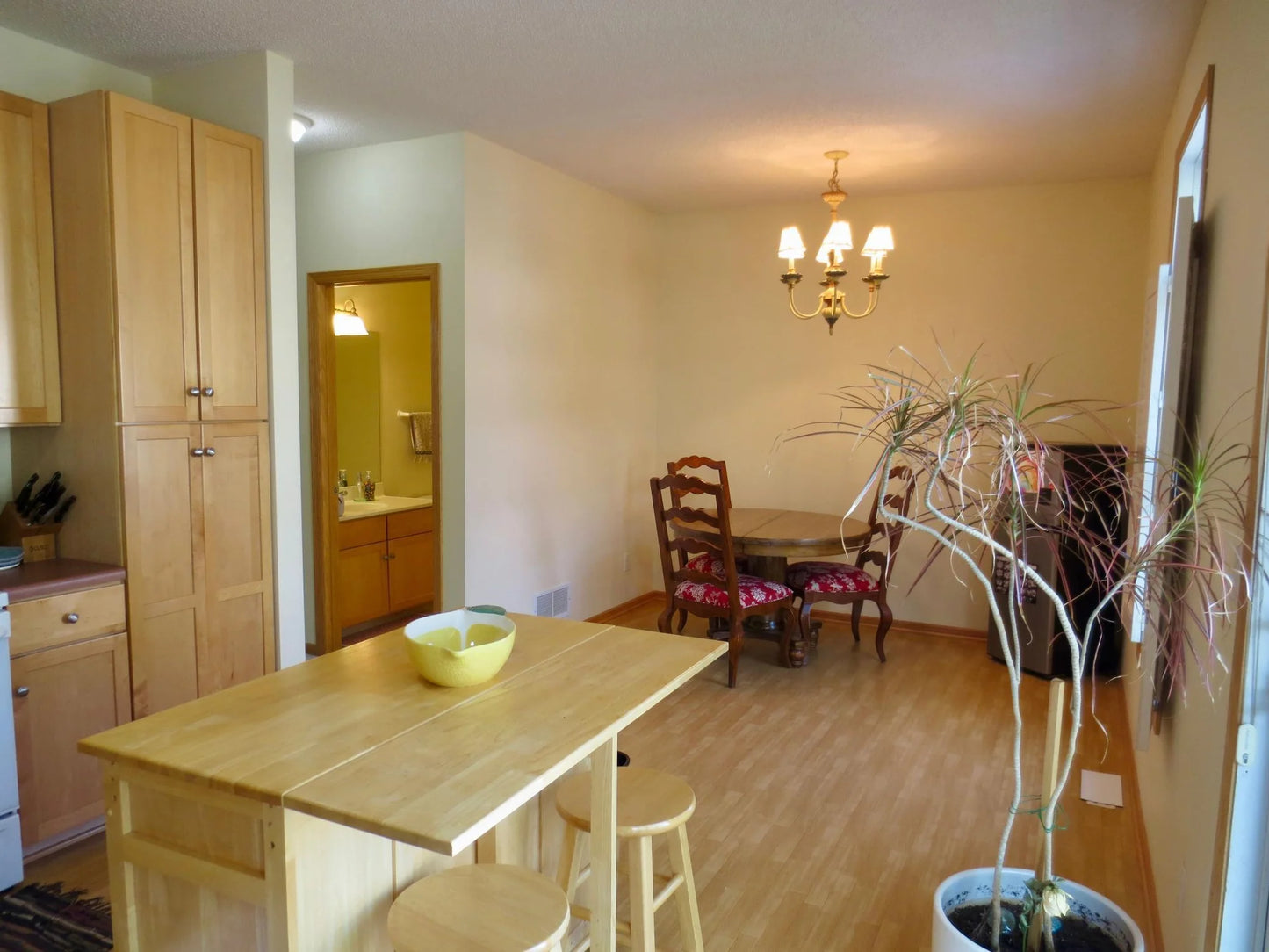 5735 Village Trail, Mound, MN 55364