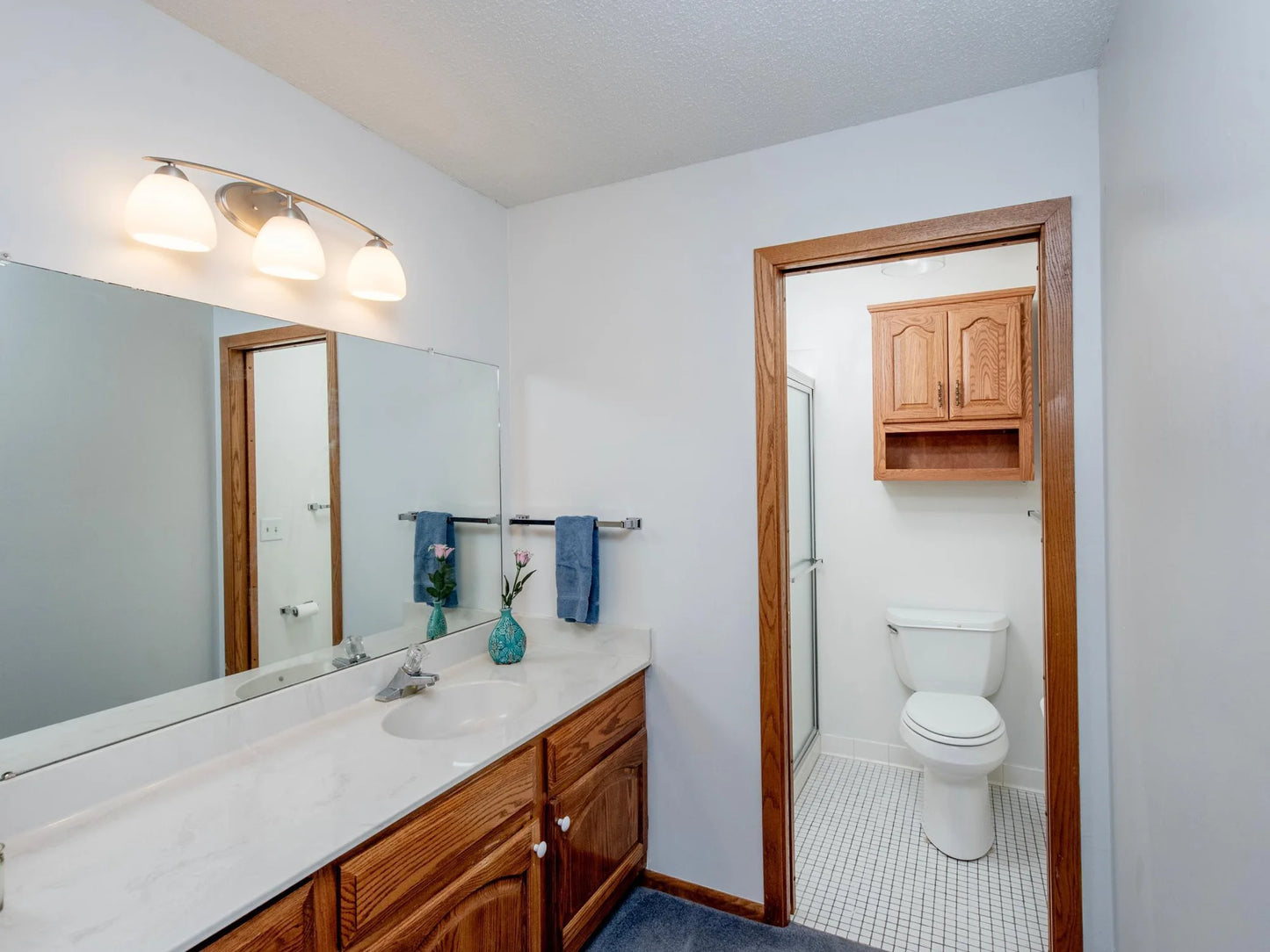 10 Windsor Court, New Brighton, MN 55112
