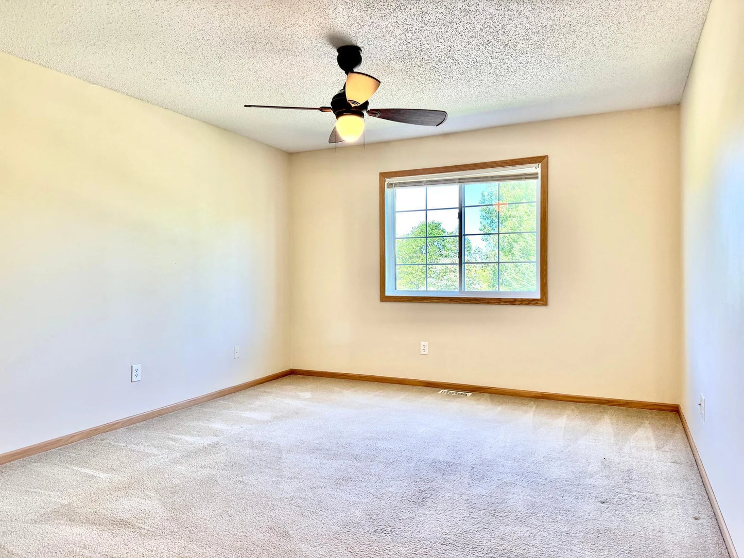 15656 Emerald Drive, Hugo, MN 55038