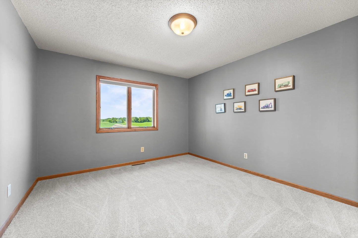 1630 Oxford Avenue, Delano, MN 55328