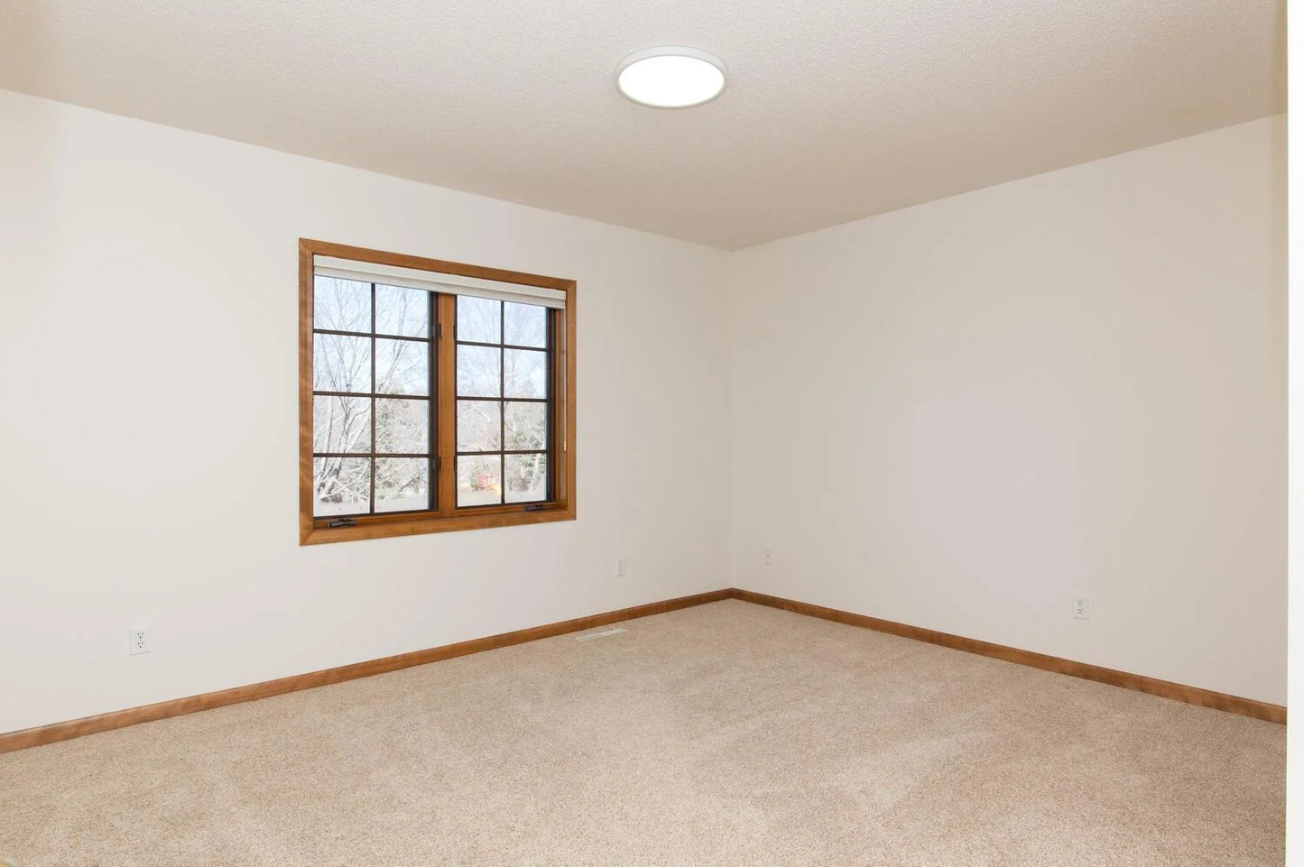 10127 Trotters Path, Eden Prairie, MN 55347