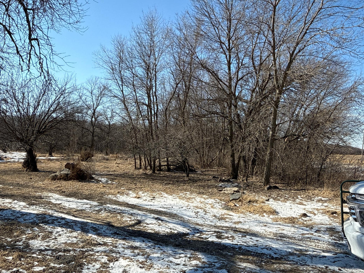 Pasture Land Section 13 / 24 Delhi TWP , Delhi Twp, MN 56283