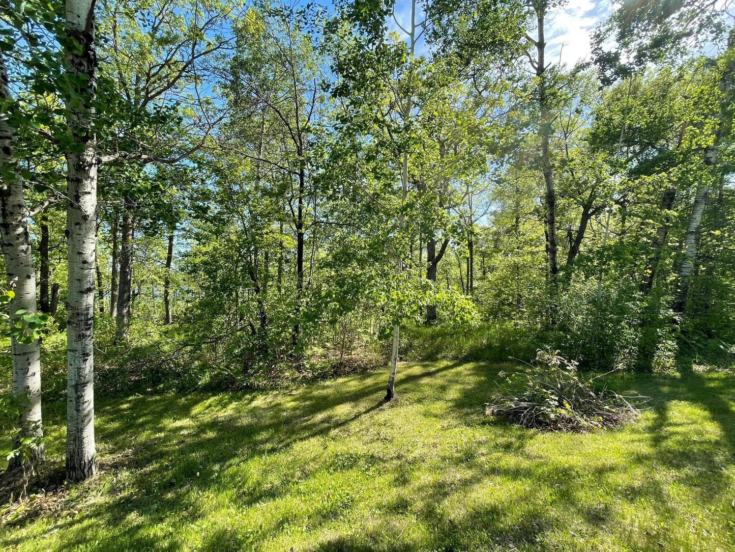 TBD Wedgewood Road, Walker, MN 56484