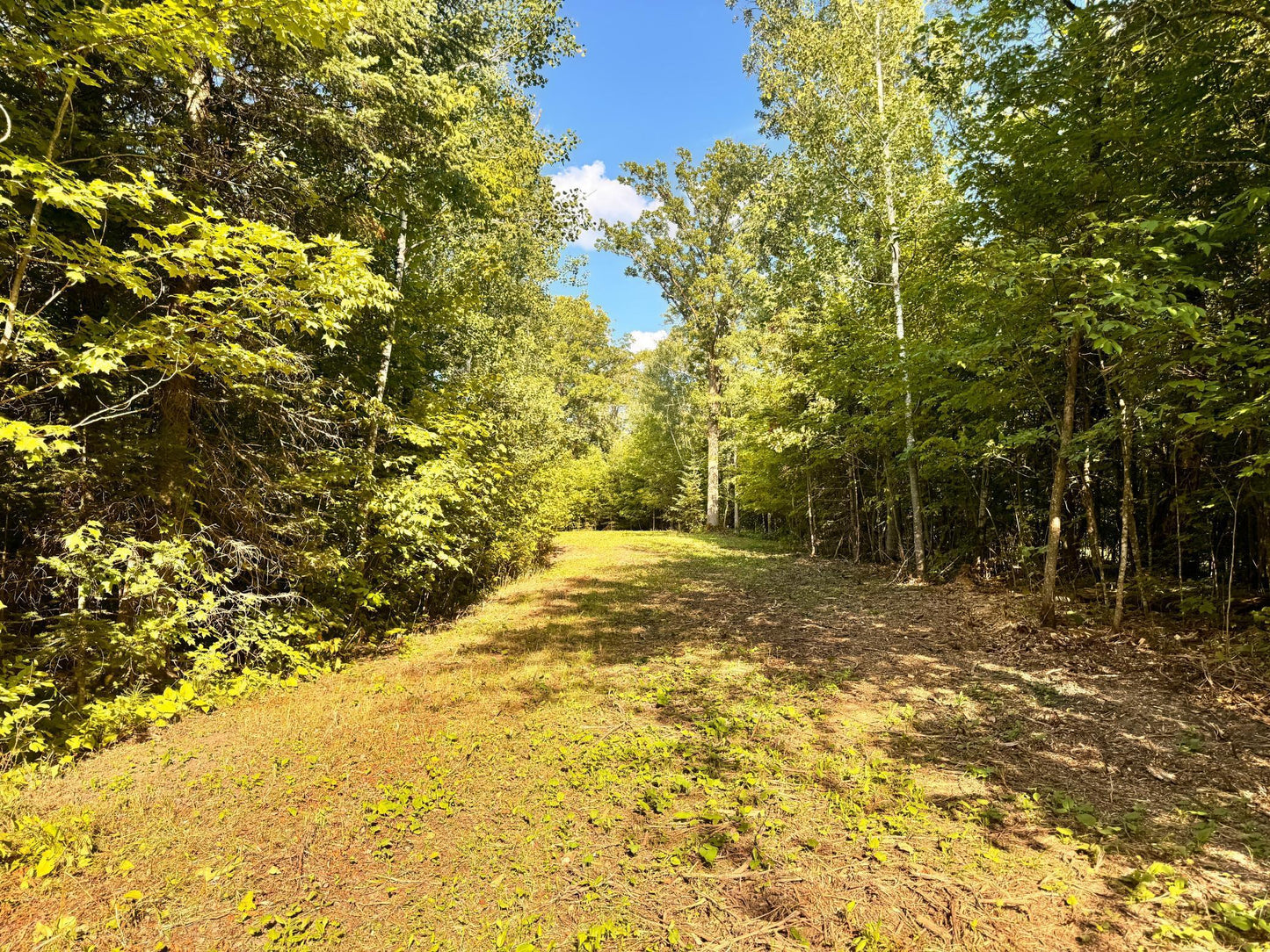 TBD Vagabond Loop Vagabond Loop , Bemidji, MN 56601