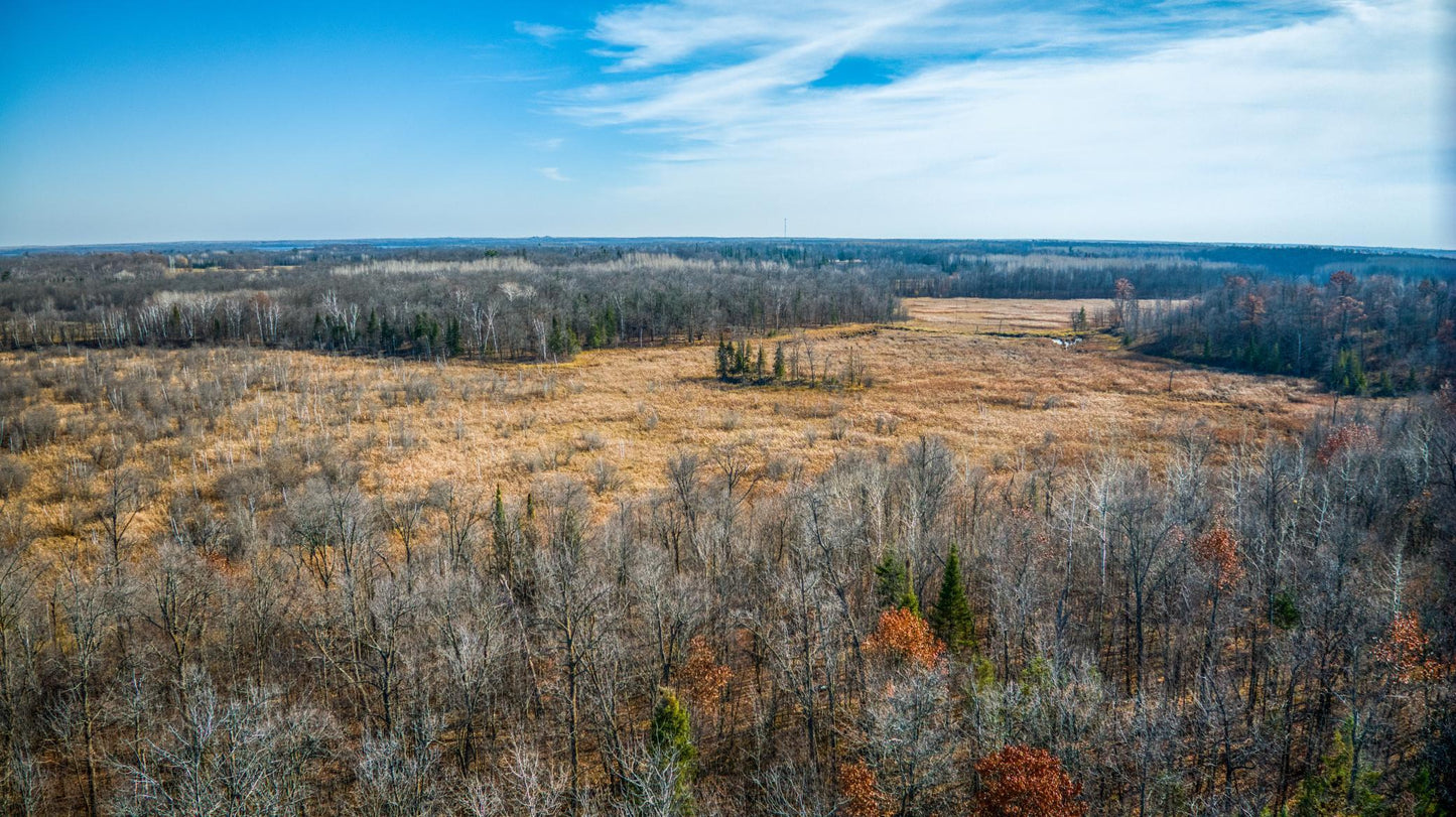 TBD Hwy 89 , Puposky, MN 56667