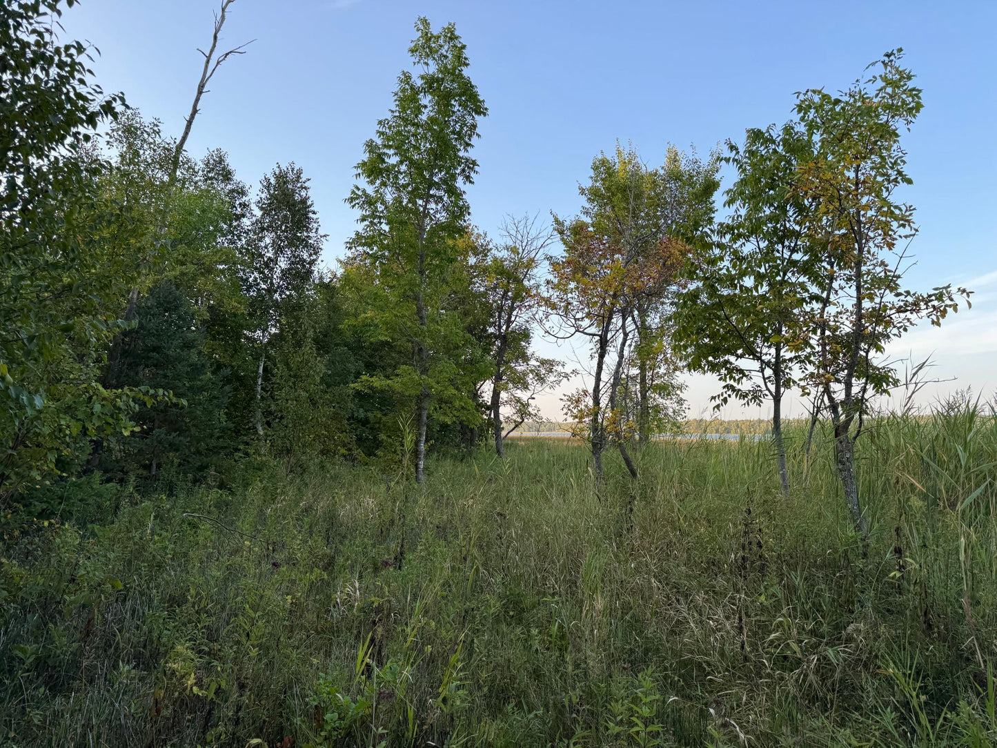 (LOT B) TBD Rock Lake Road, Rochert, MN 56578