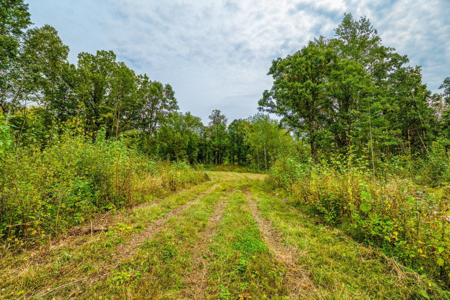 12479 Battle Road, Blackduck, MN 56630