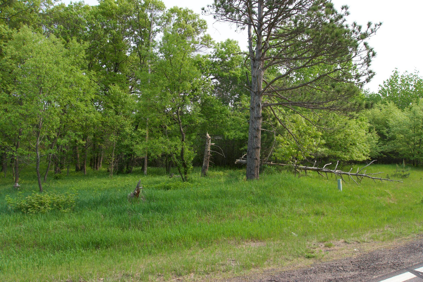 XXX Lot 3 283rd Avenue, Zimmerman, MN 55398