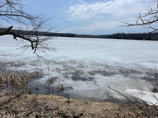 TBD Parcel D New Paradise Point Drive, Lake George, MN 56458