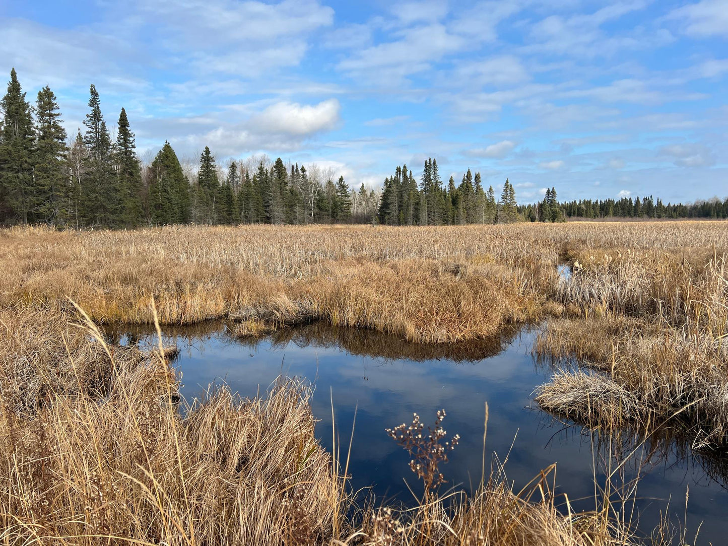 TBD Zekes Road , Schroeder Twp, MN 55613