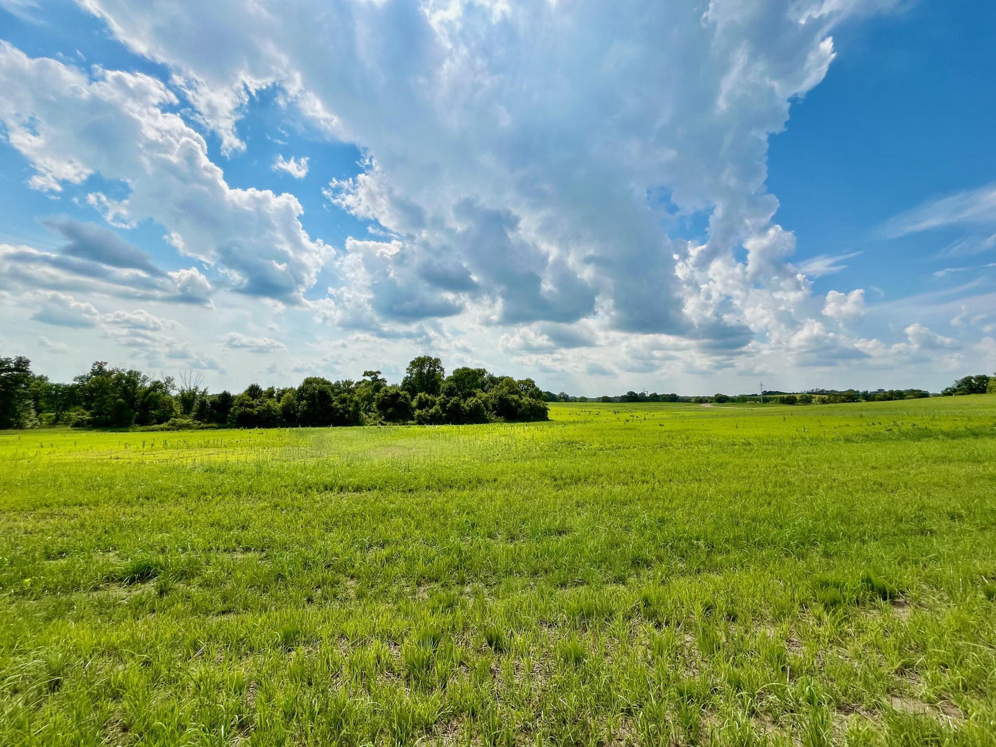 Lot 3 Block 3 River View Trail, Pelican Rapids, MN 56572