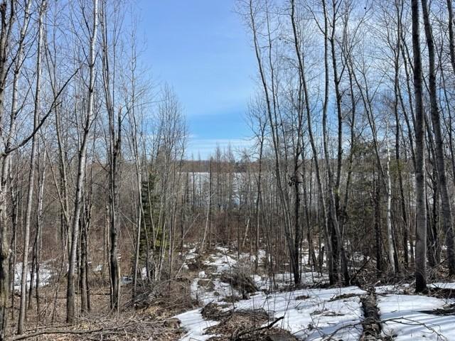 TBD Lot 5 New Manz Drive, Lake George, MN 56458