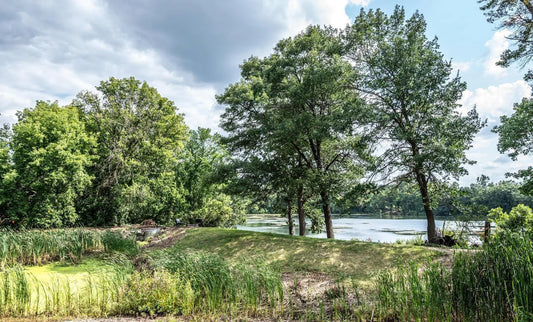 4525 Alicia Drive, Eagan, MN 55077