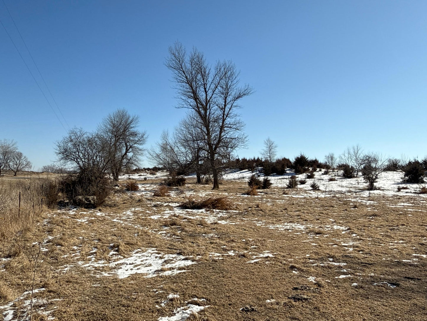 Pasture Land Section 13 / 24 Delhi TWP , Delhi Twp, MN 56283