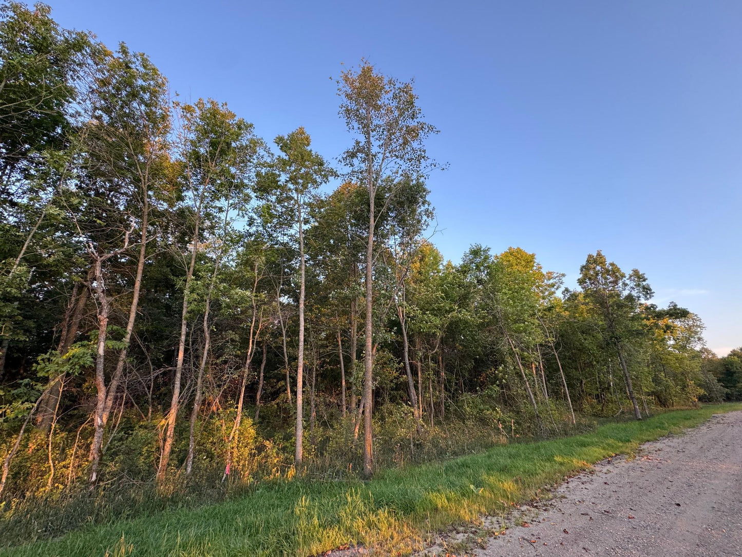 (LOT 4) TBD Rock Lake Road, Rochert, MN 56578