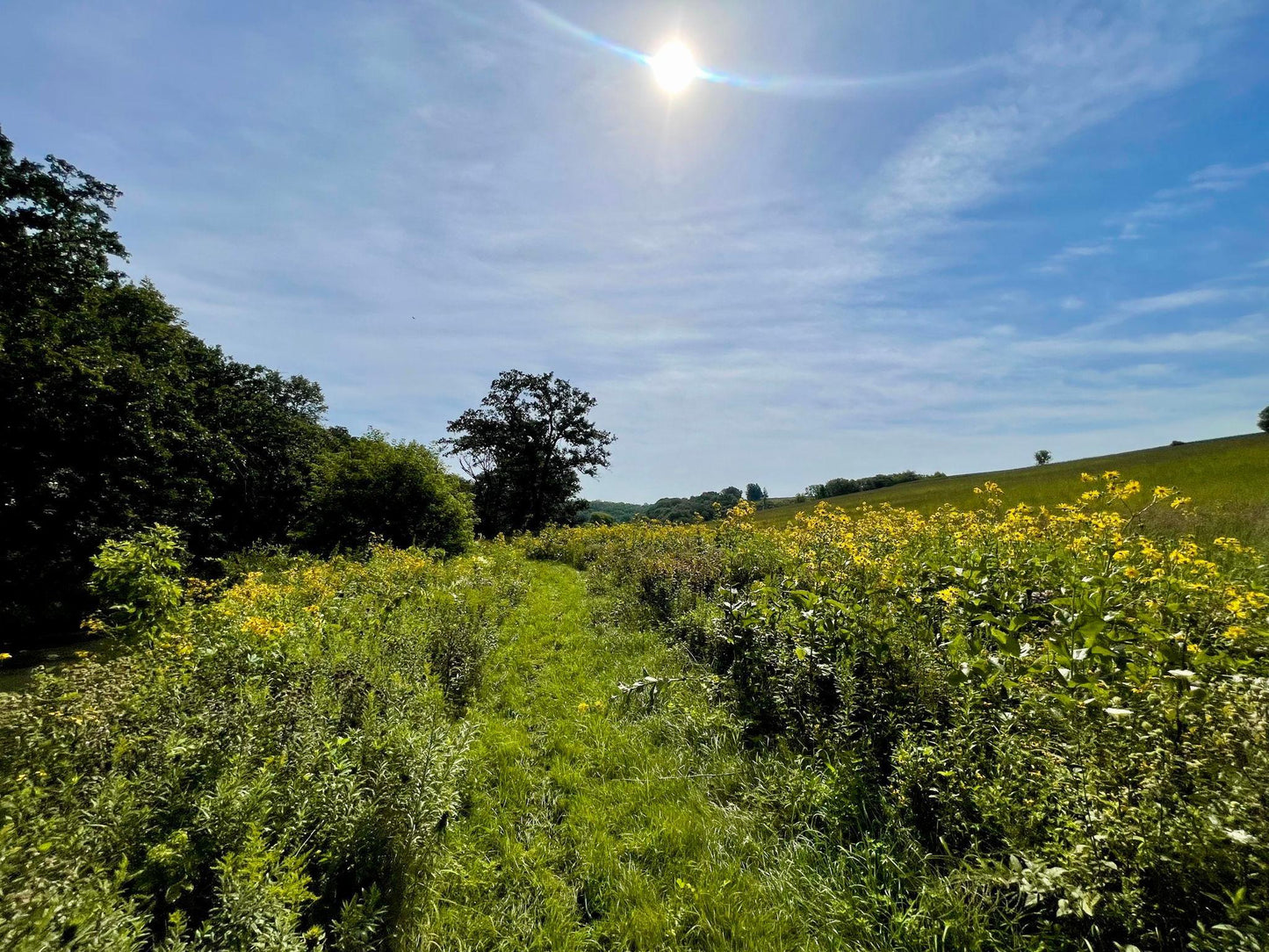 TBD County 8 , Spring Grove Twp, MN 55954