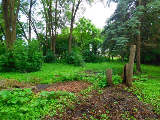 1033 3rd Street, Saint Paul Park, MN 55071