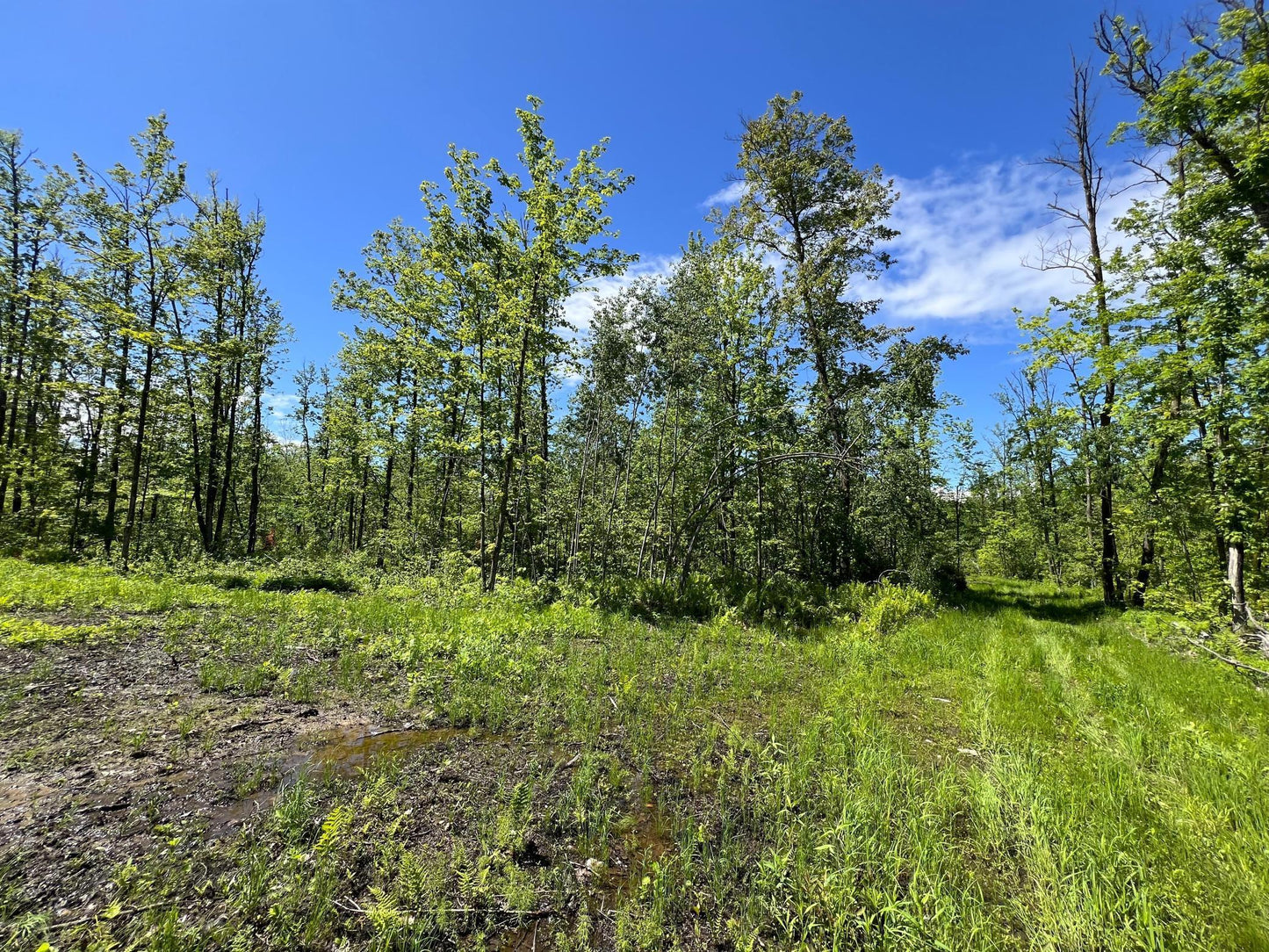 XXX Woods Road, Isle, MN 56342