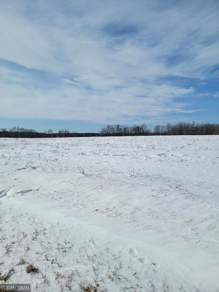 XXX County Rd 82 , Wykeham Twp, MN 56446