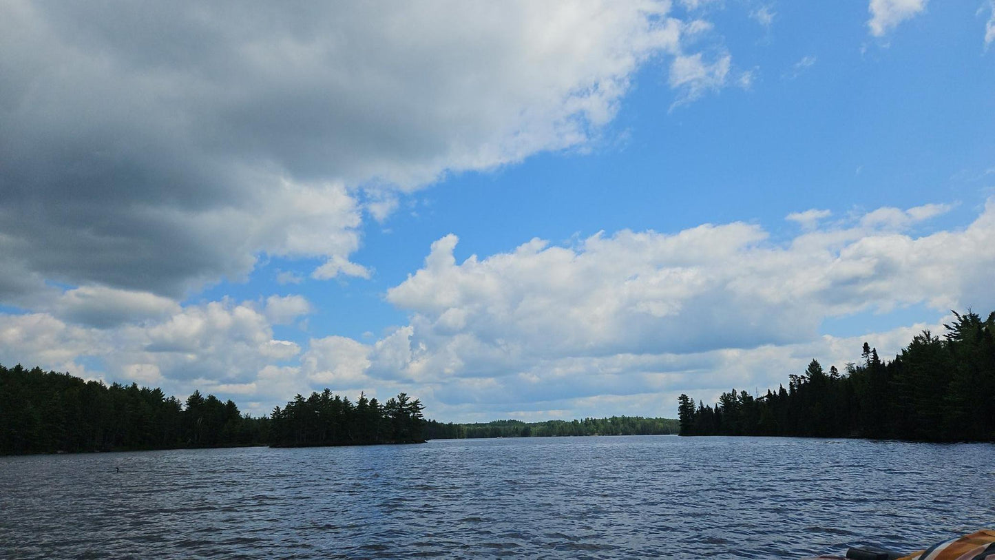 TBD Ban Lake Spur, Orr, MN 55771