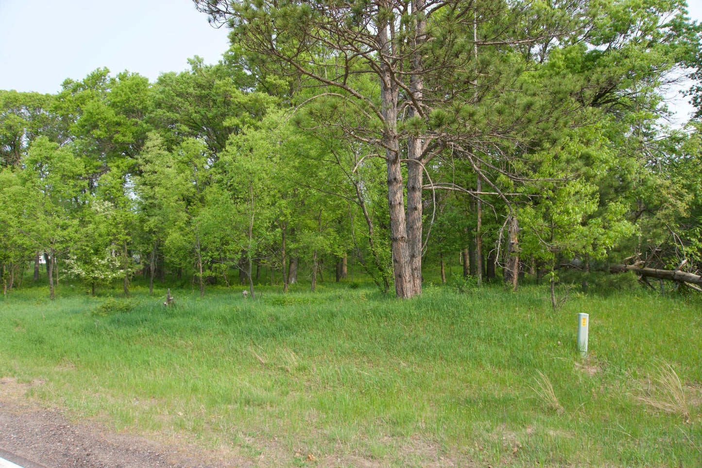 XXX Lot 3 283rd Avenue, Zimmerman, MN 55398