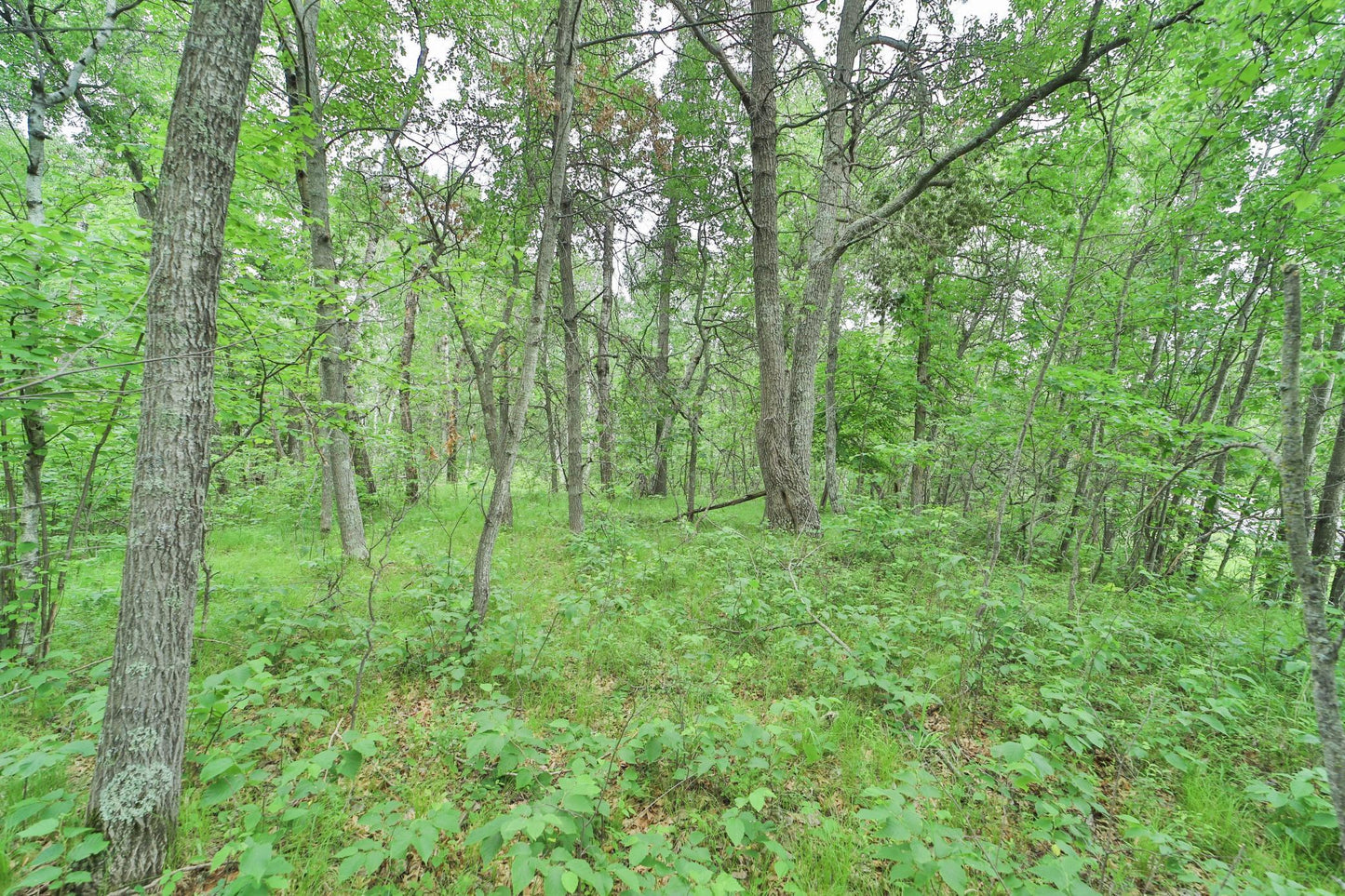 XXX Beaver Dam Road, Brainerd, MN 56401