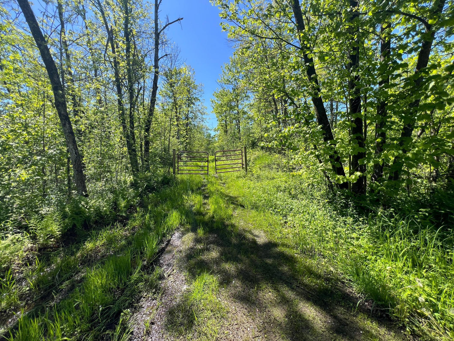 XXX Woods Road, Isle, MN 56342