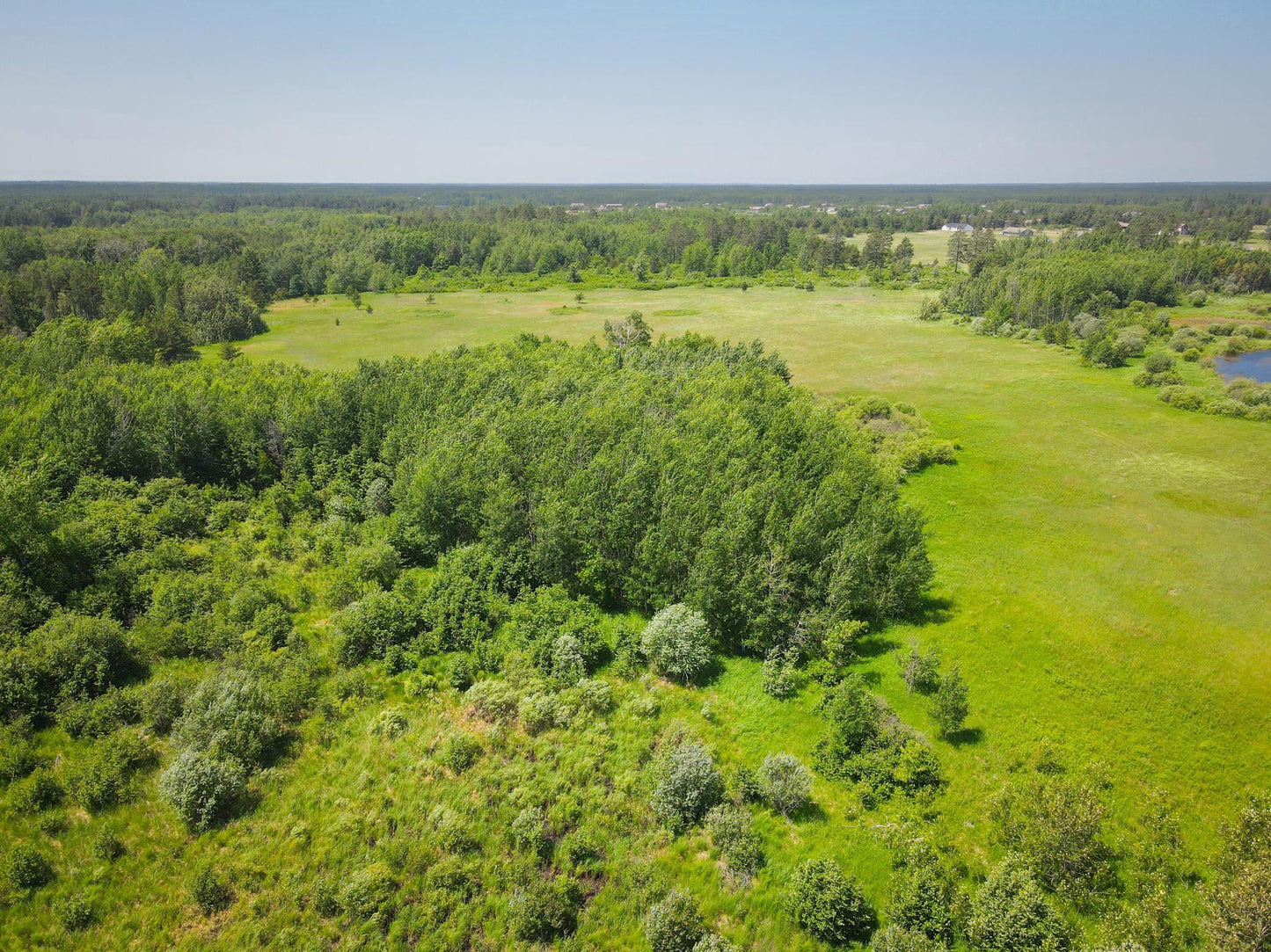 TBD Cardinal Rd , Eckles Twp, MN 56601