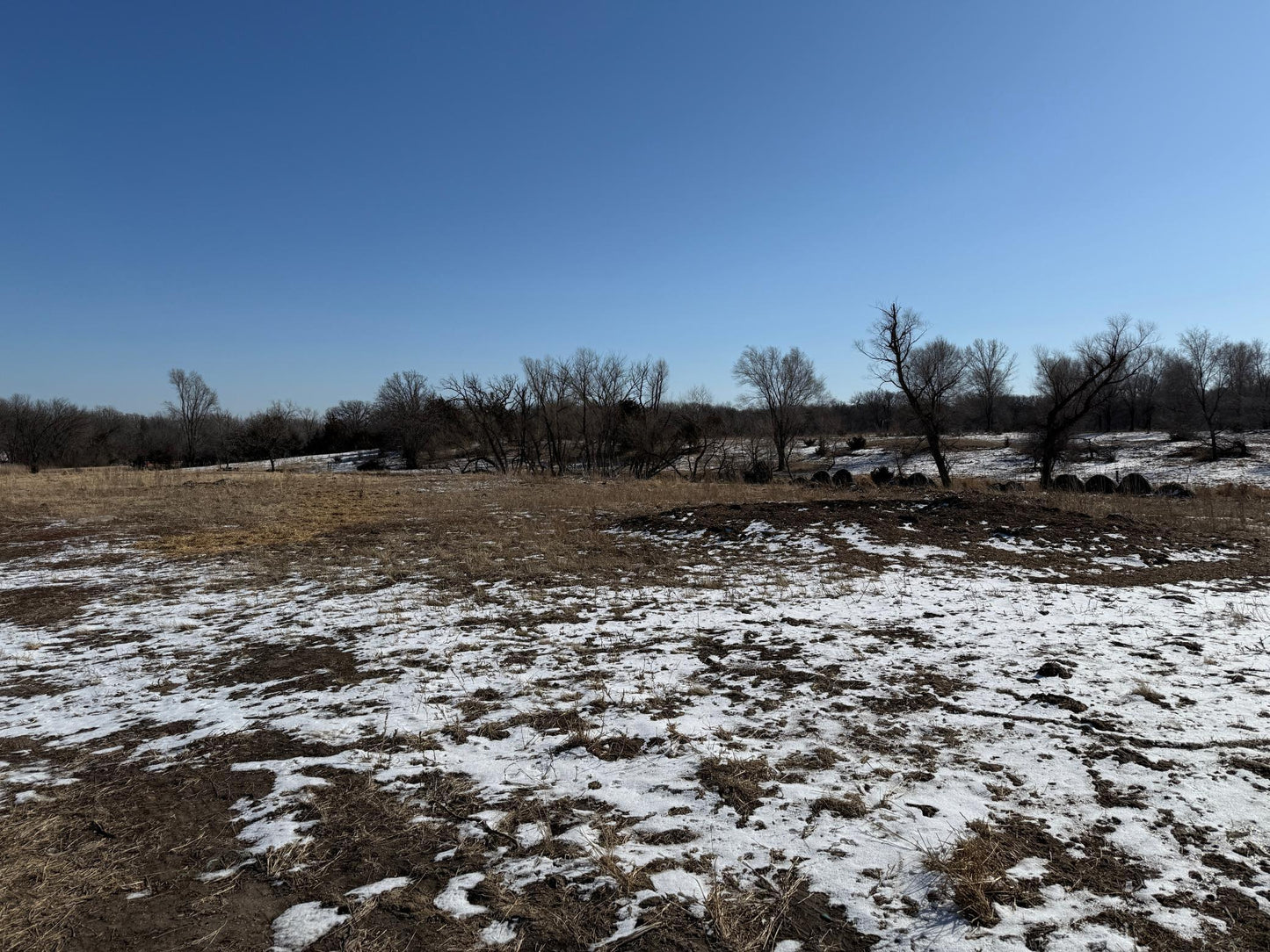 Pasture Land Section 13 / 24 Delhi TWP , Delhi Twp, MN 56283