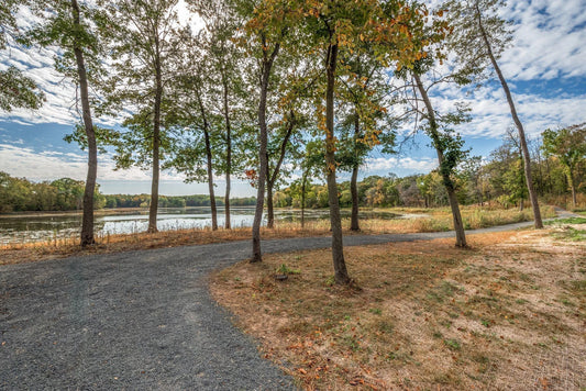 4759 Linden Cove Lane, Savage, MN 55378