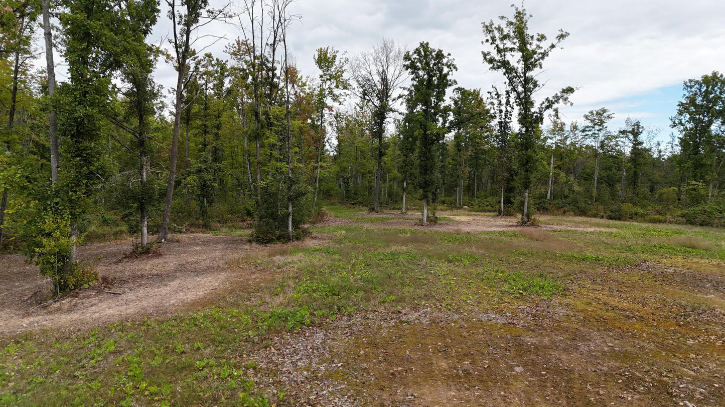 TBD Rainbow Trout Trail , Sandstone, MN 55072