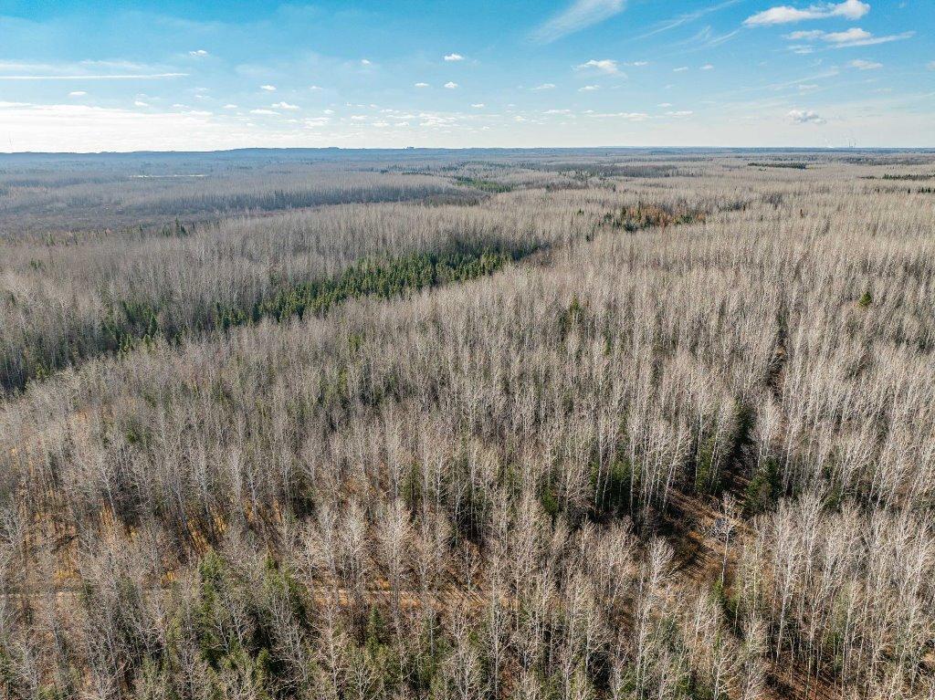 TBD County Rd 60 , Grand Rapids, MN 55744