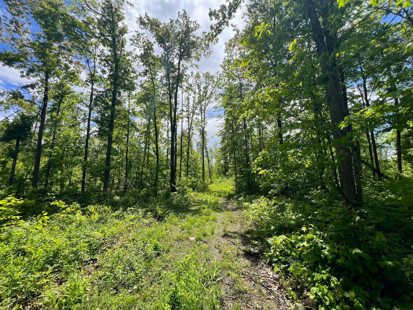 XXX Woods Road, Isle, MN 56342