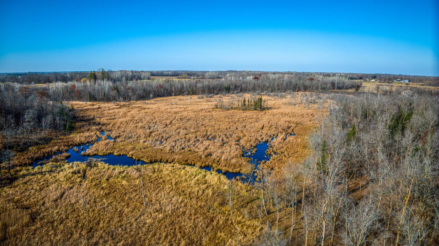 TBD Hwy 89 , Puposky, MN 56667