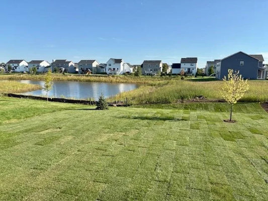 6187 Jensen Alcove South , Cottage Grove, MN 55016